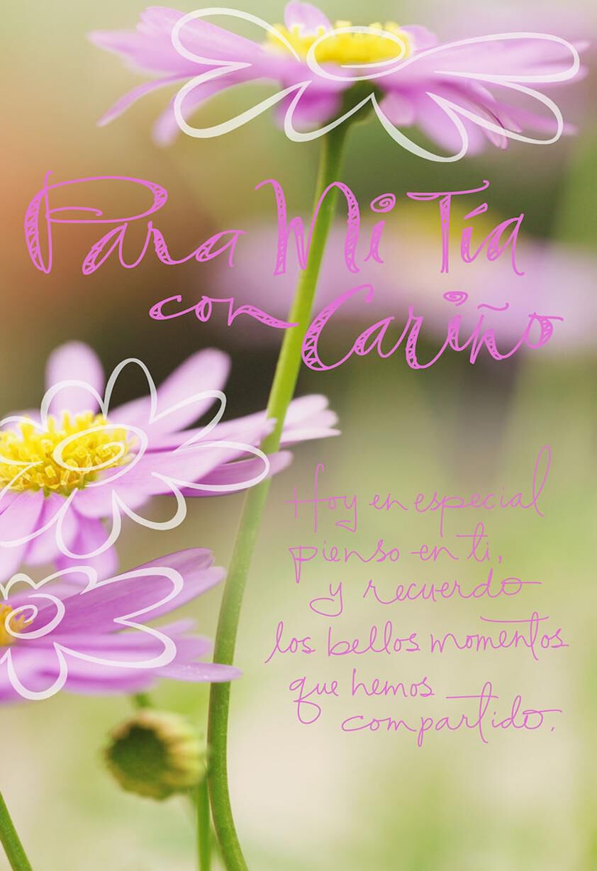 VIDA SpanishLanguage Cards & Gifts Hallmark