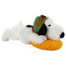 floppy snoopy