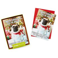 hallmark pug shoebox pug photograph humor boxed cards boxed cards hallmark hallmark pug shoebox pug photograph humor boxed cards boxed cards hallmark