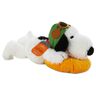 floppy snoopy
