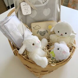 Welcome New Baby Gift Set, Welcome New Baby Gift Set, , large