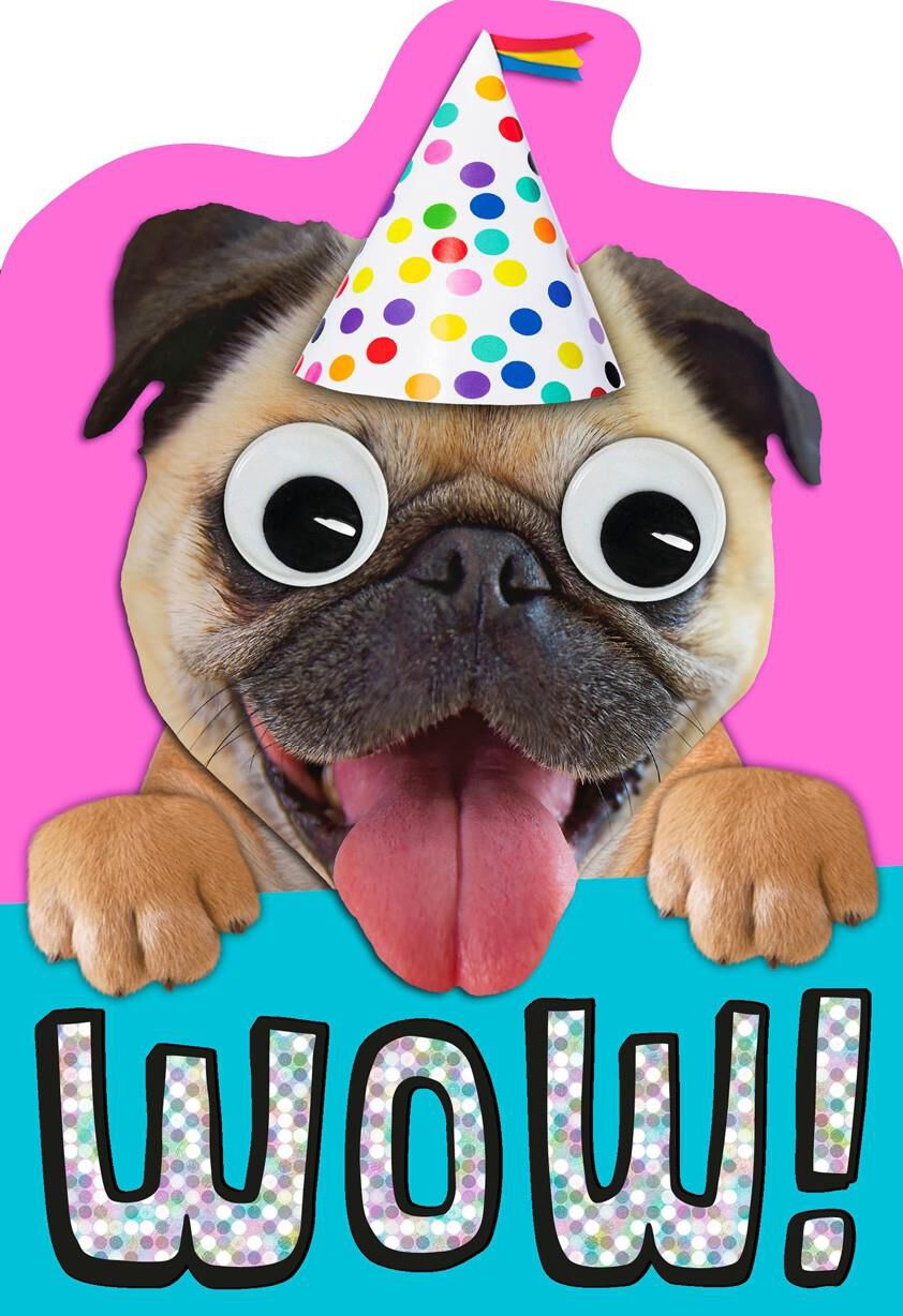 pug e card pug birthday card greeting cards hallmark pug e card pug birthday card greeting cards hallmark