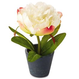 White Potted Peony Decoration, White Potted Peony Decoration, , large