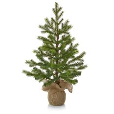 miniature christmas tree decoration seasonal decor miniature christmas tree decoration seasonal decor