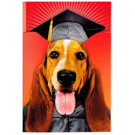 Dog Pop-Up Musical Graduation Card, Dog Pop-Up Musical Graduation Card, , large