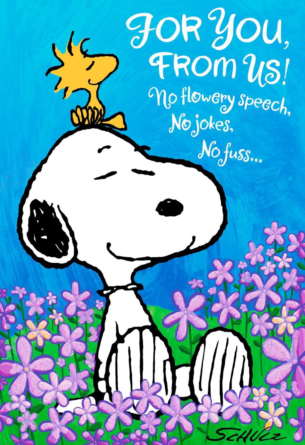 Peanuts 174 Birthday Wish From Both Of Us Card Greeting