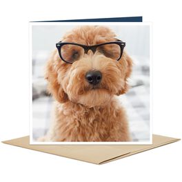 Dog Wearing Glasses Blank Card, Dog Wearing Glasses Blank Card, , large
