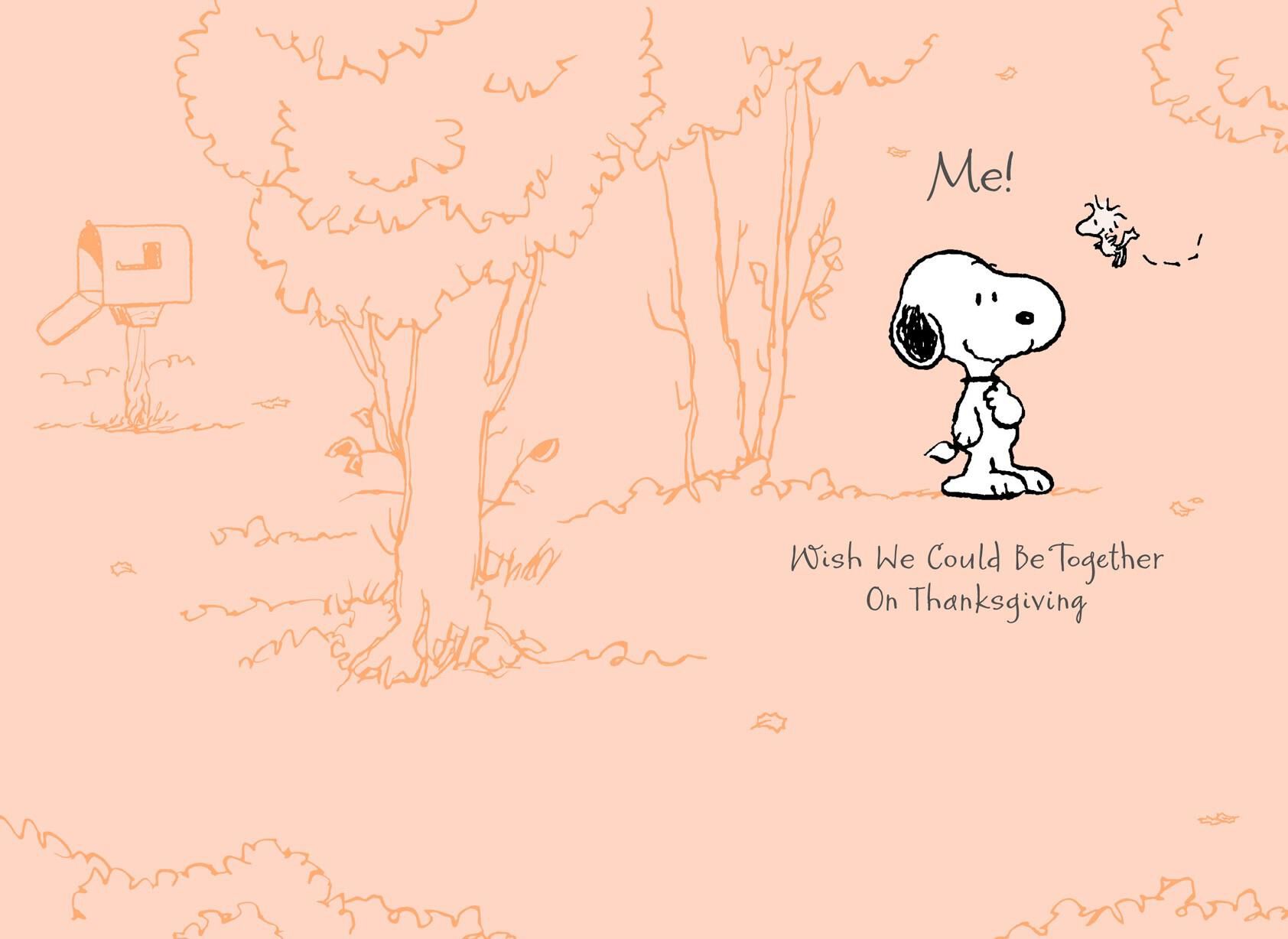 Peanuts® Snoopy Missing You Thanksgiving Card Greeting Cards Hallmark