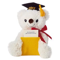 hallmark graduation teddy bear