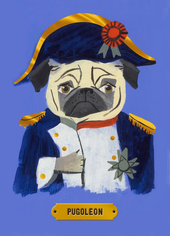 hallmark pug napoleon pug birthday card greeting cards hallmark hallmark pug napoleon pug birthday card greeting cards hallmark