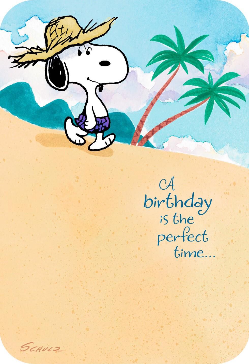 Peanuts® Snoopy Happy Place Musical Birthday Card Greeting Cards