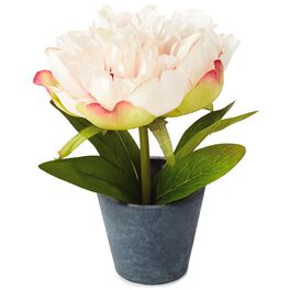 Light Pink Potted Peony Decoration, Light Pink Potted Peony Decoration, , large