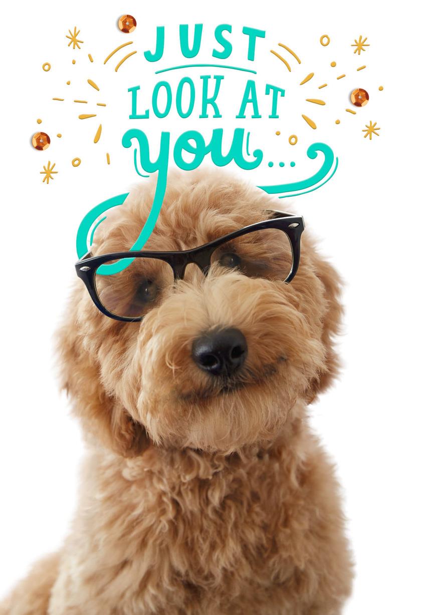 brainiac puppy congratulations card greeting cards wedding gifts lists
