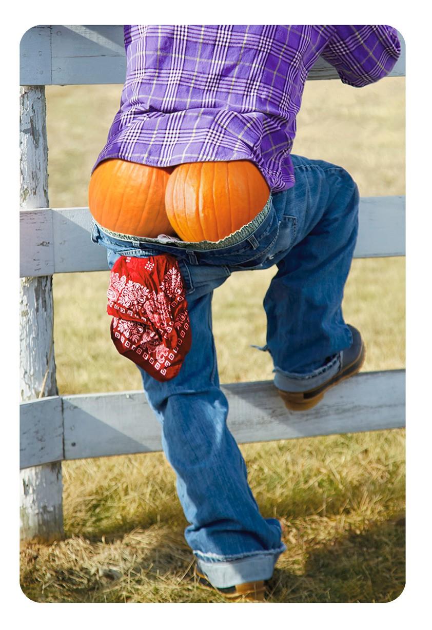 Big Ass Pumpkin 19
