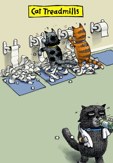 cat treadmills funny blank