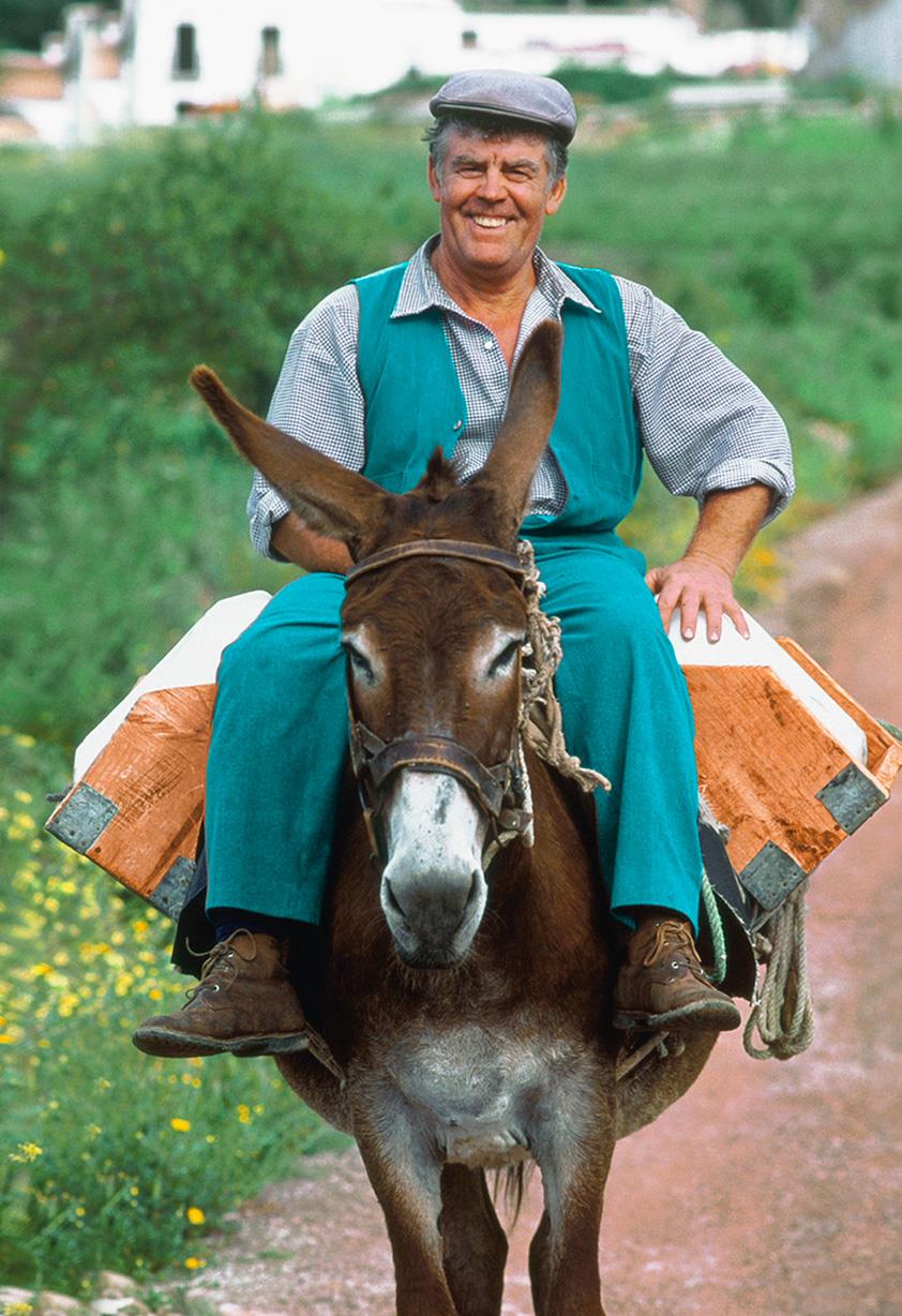 Man Riding a Donkey Father's Day Card - Greeting Cards ...