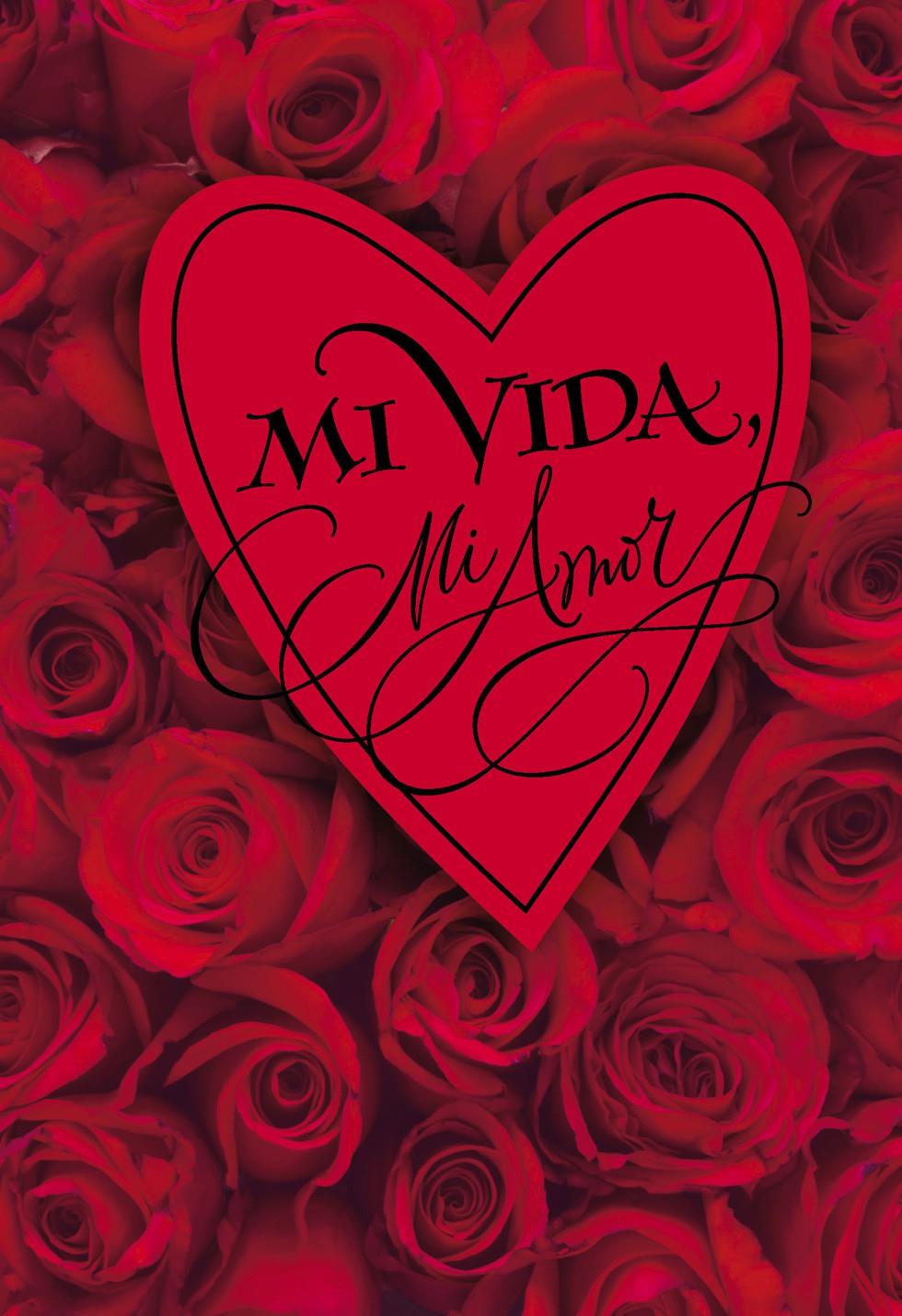 my life my love spanish valentine s day card greeting cards hallmark
