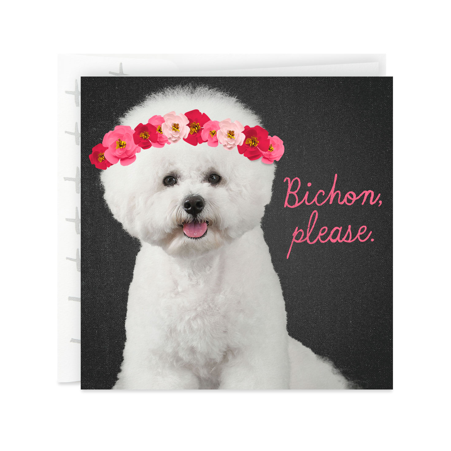 cat carrier amazon uk