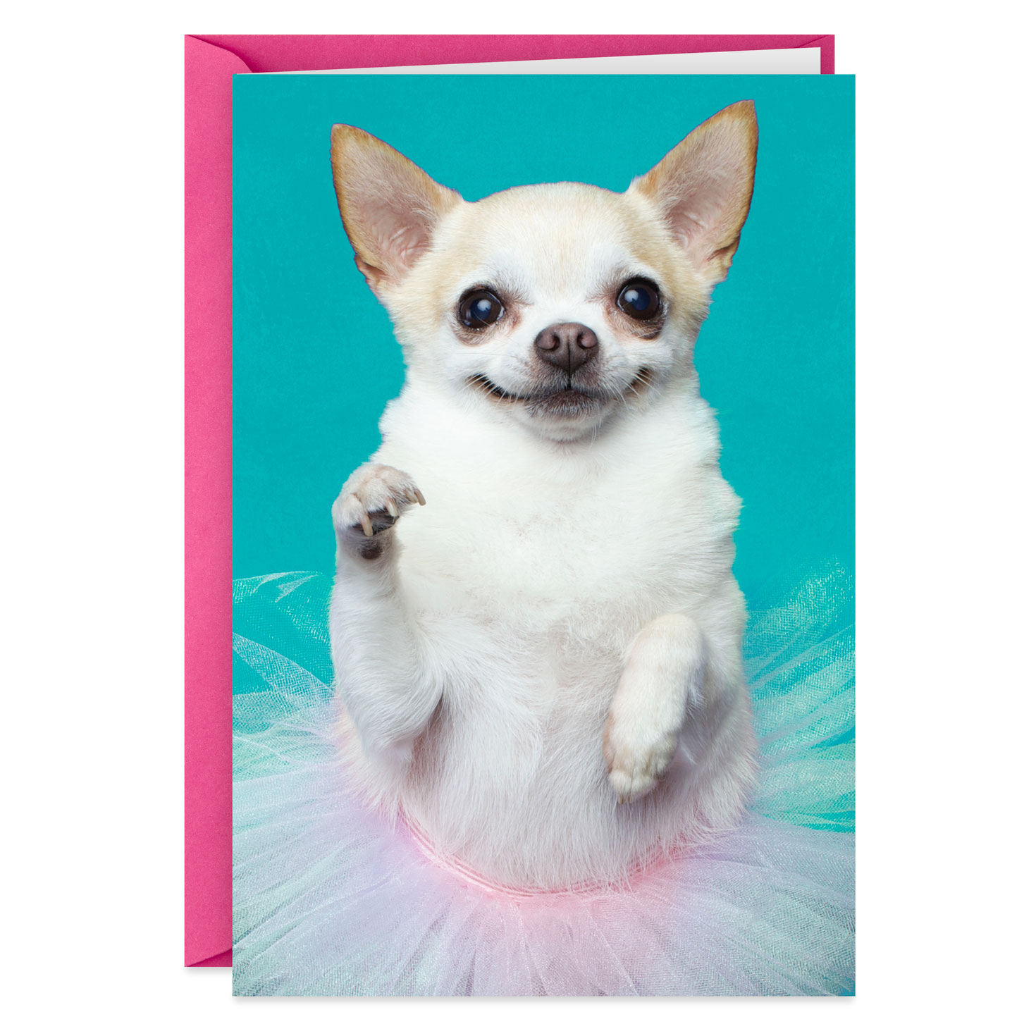 CHIHUAHUA DOG GREETING NOTE PARTY INVITE THANK YOU BIRTHDAY ANNIVERSARY CARDS