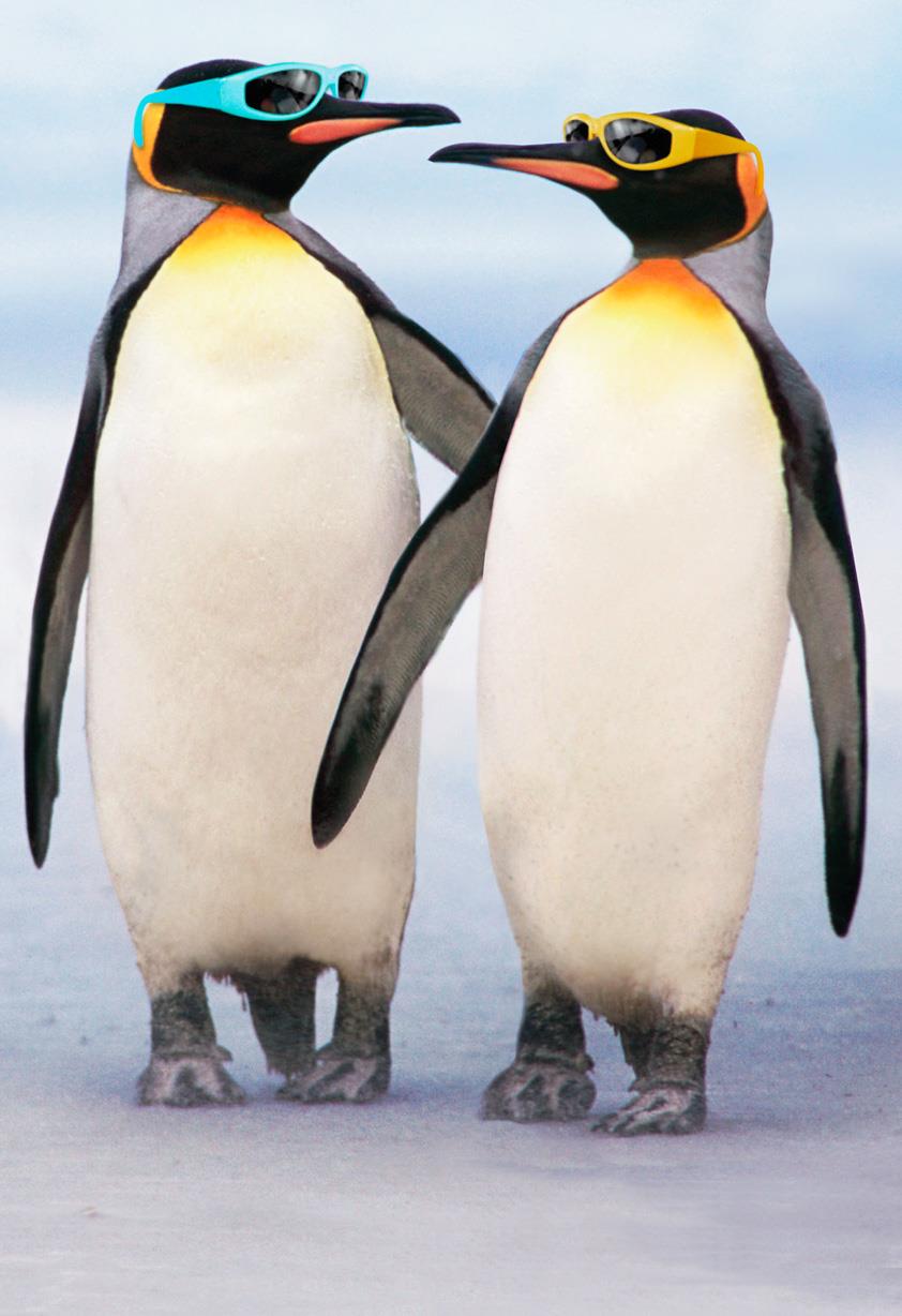 How do penguins behave?