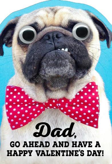 hallmark pug pug lovely pug with in day lovely pug hallmark pug pug lovely pug with in day lovely pug