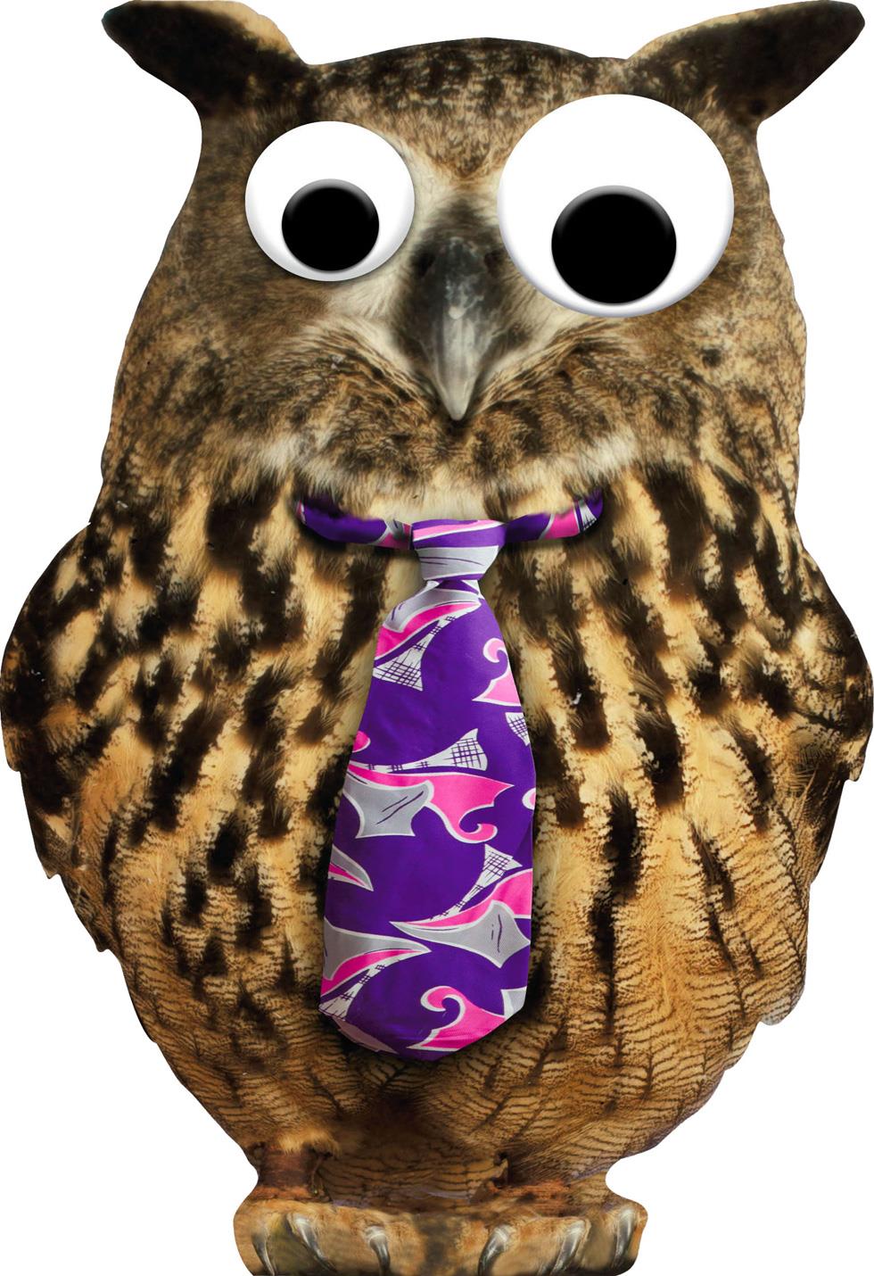 googly eyes owl father s day card hallmark