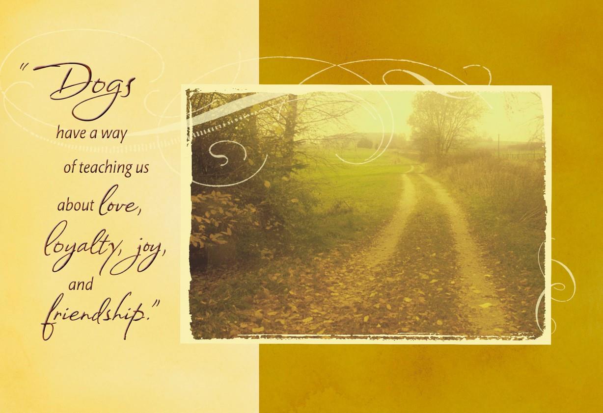sympathy card for loss of pet