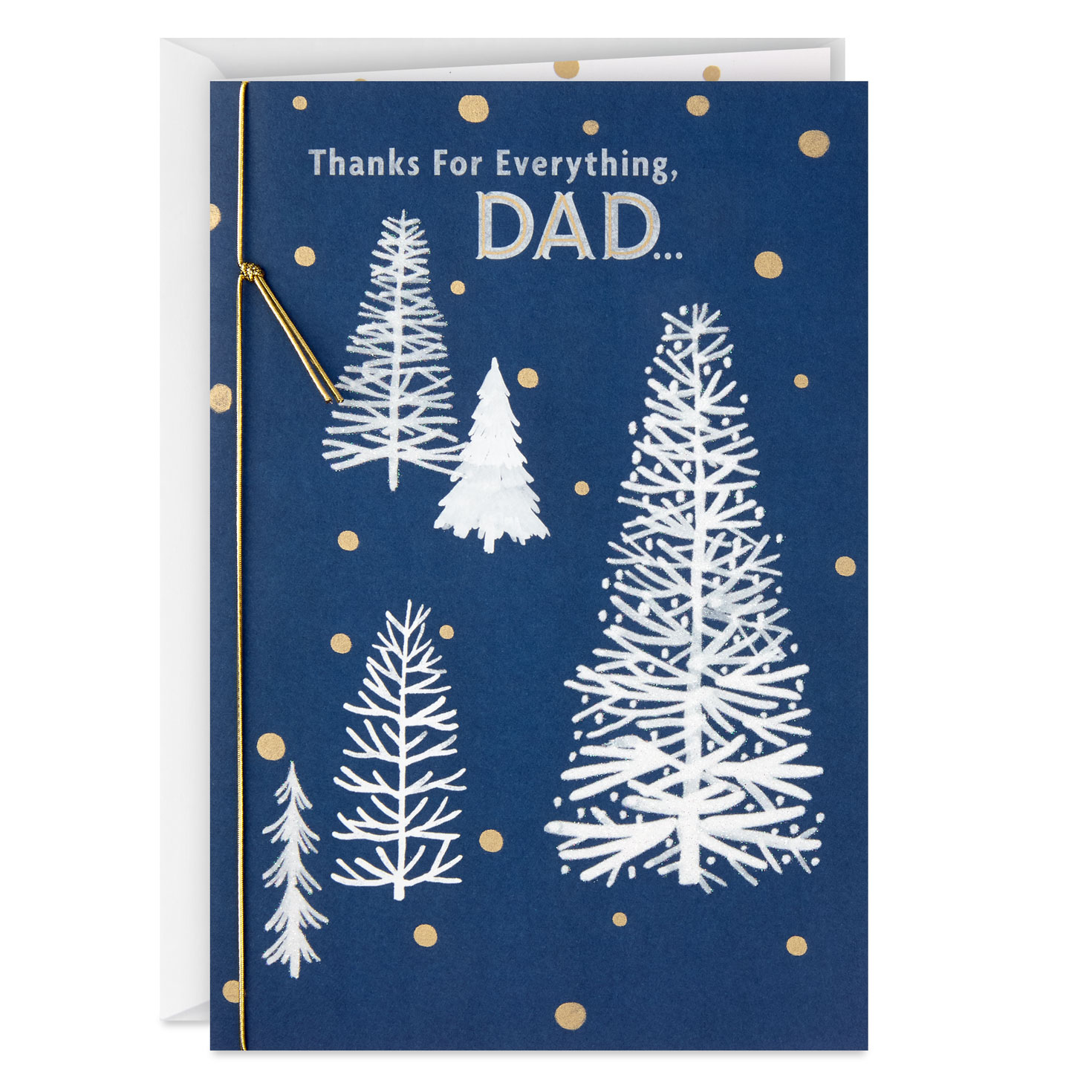 thanks for everything dad christmas card greeting cards