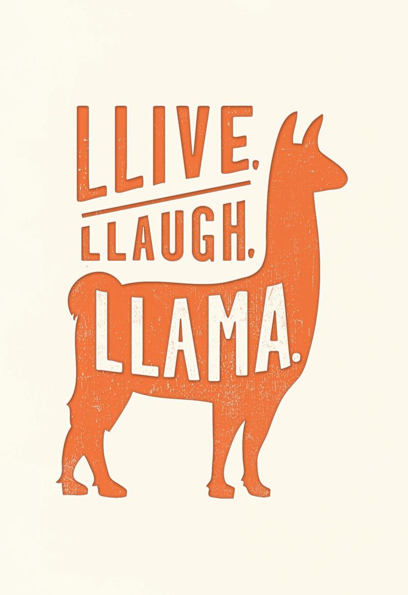 llive llaugh llama birthday card greeting cards hallmark hallmark baby s first christmas ornament