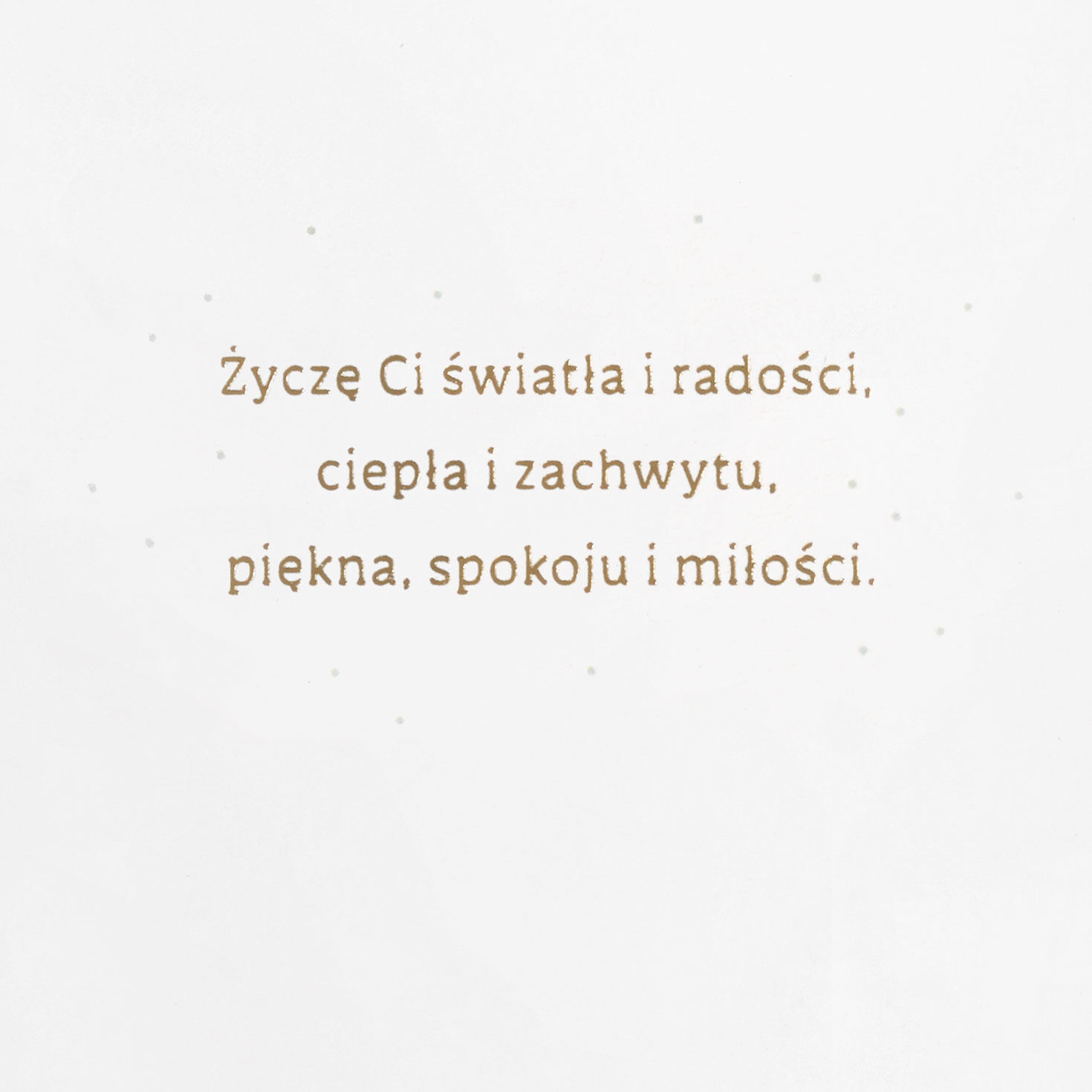 Pastel Town Scene Polish Christmas Card Sentiment image number 2