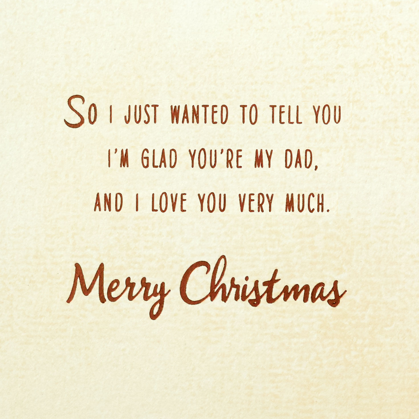 Bears in Forest Love You Dad Christmas Card Sentiment image number 2