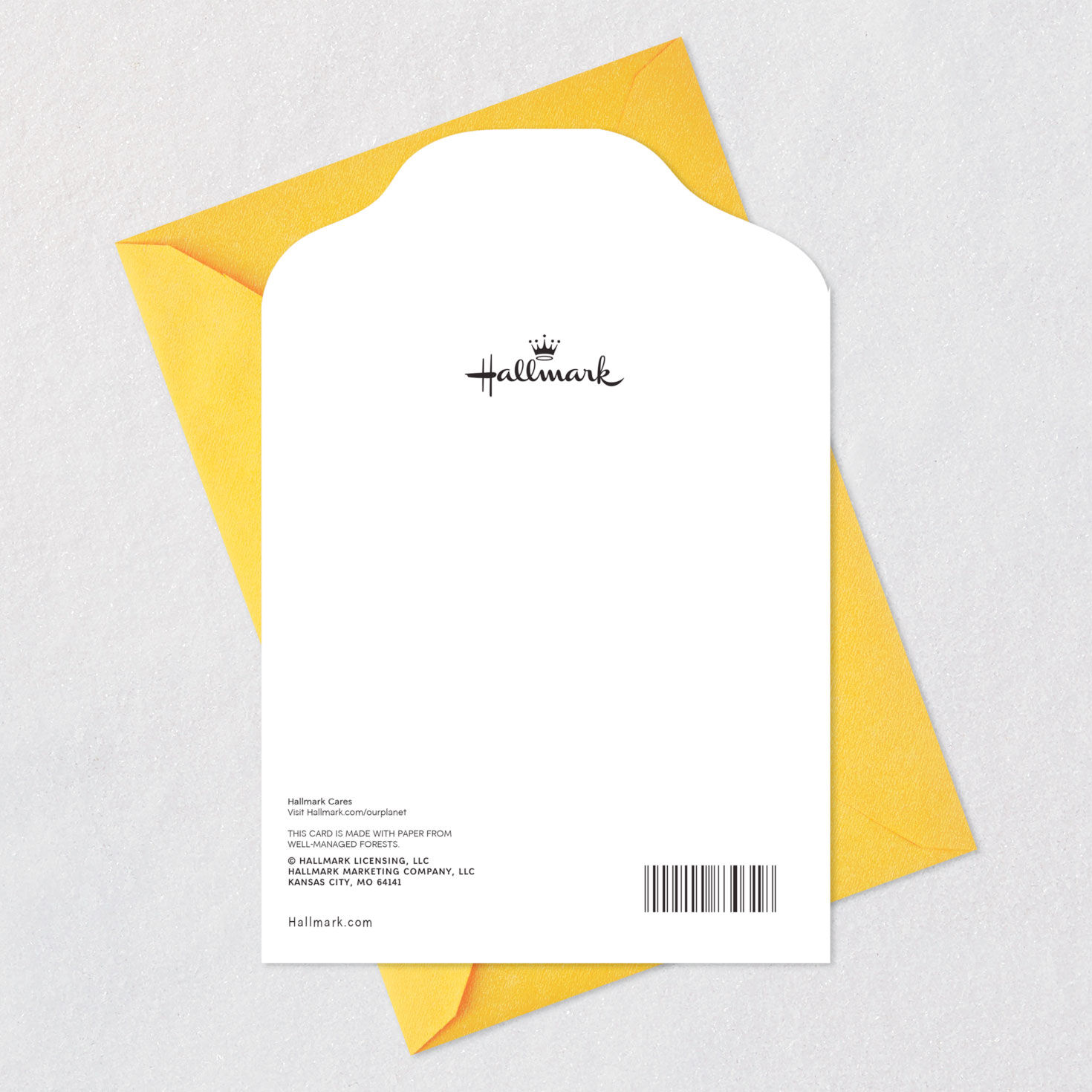 Dog in Sunglasses Hello Card, , large image number 7