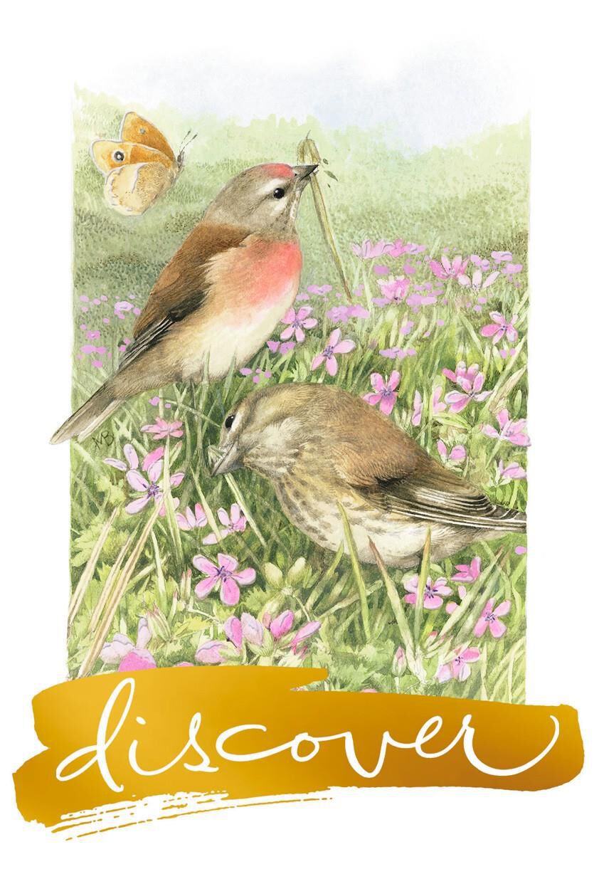Discover Good Things Marjolein Bastin Birthday Card