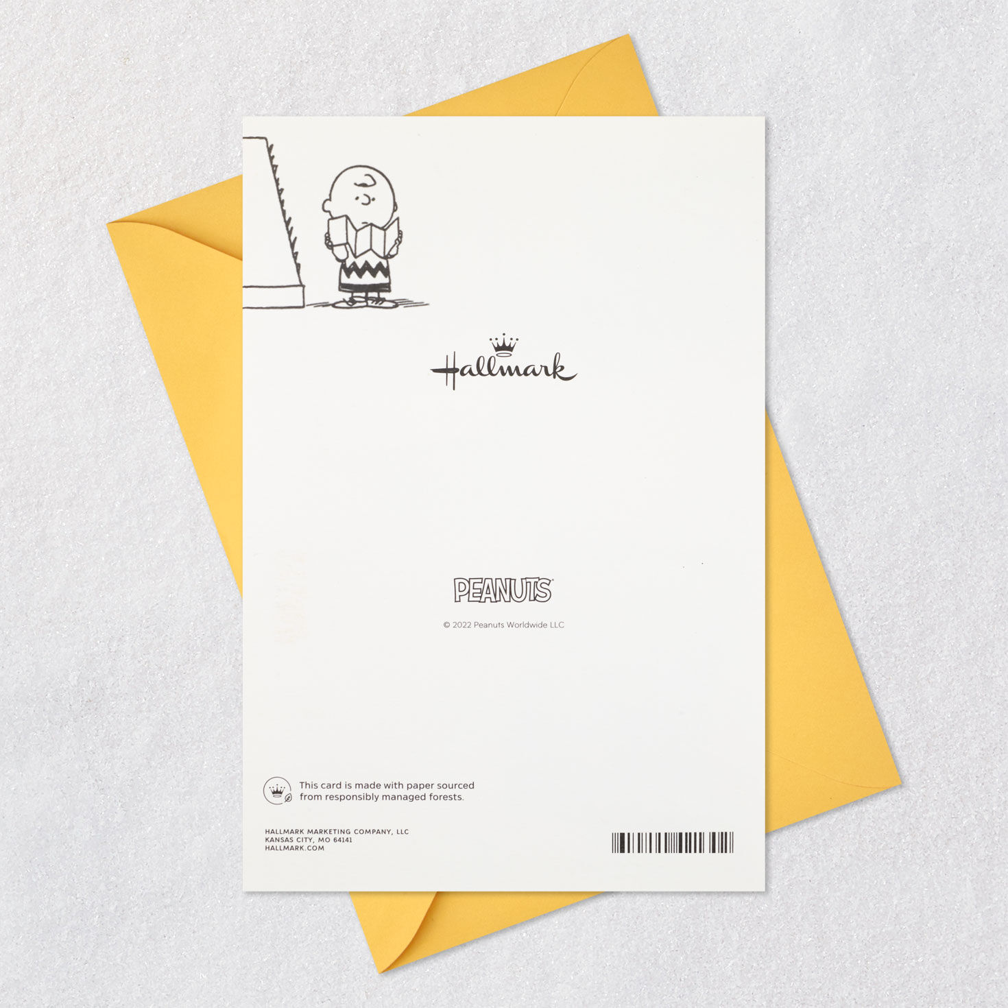 Peanuts&reg; Charlie Brown Wonderful You Funny Birthday Card With Mini Cards, , large image number 9