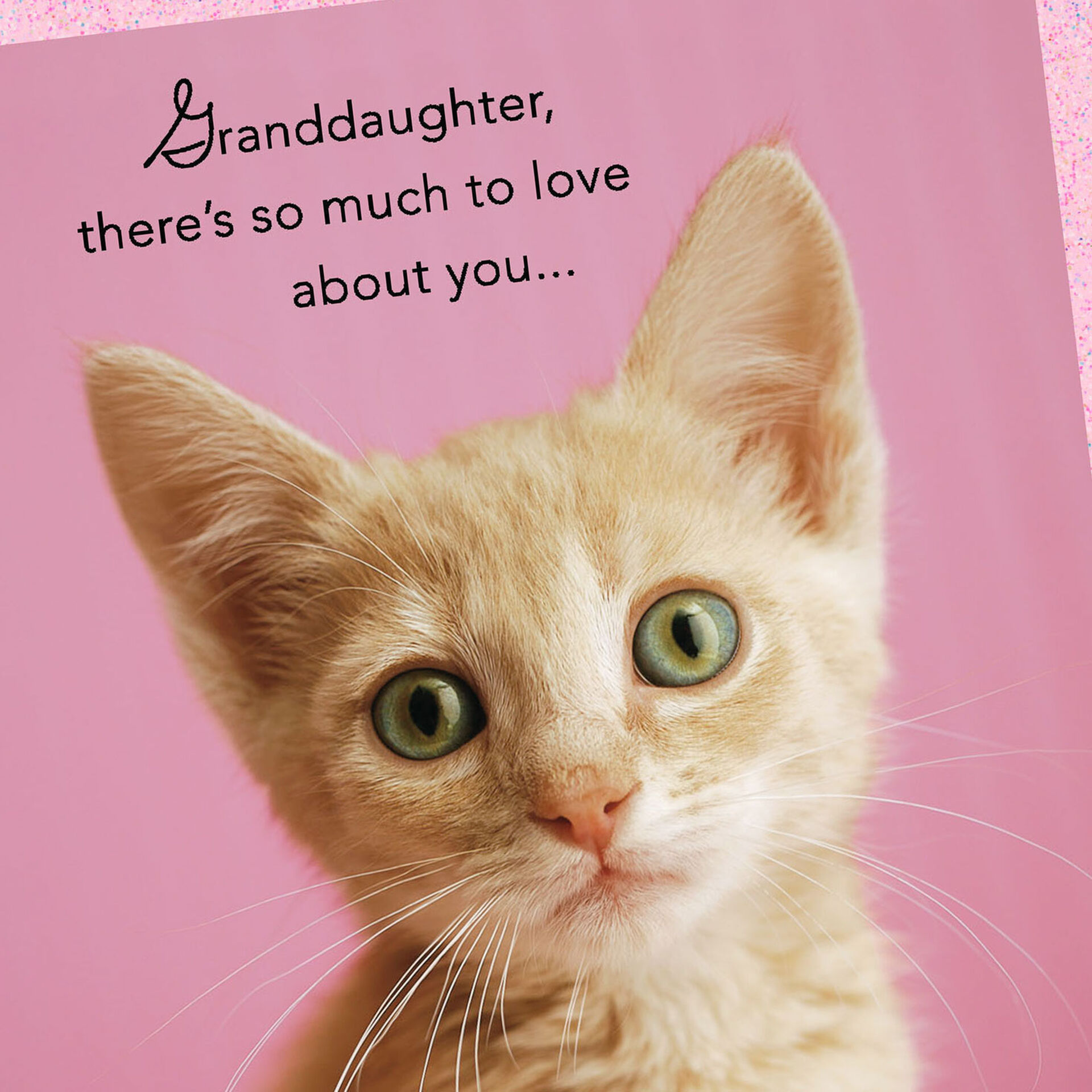 Kitten So Much To Love Birthday Card For Granddaughter Greeting Cards Hallmark