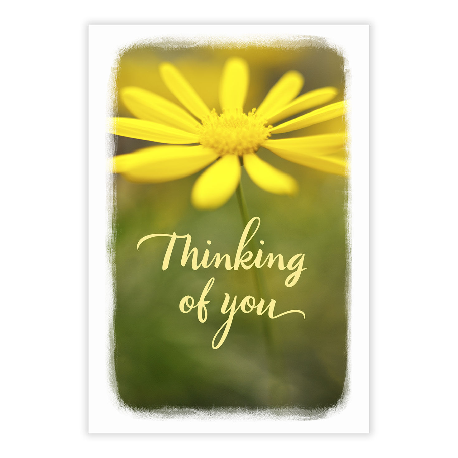 Have a Good Day Thinking of You eCard, , large image number 2