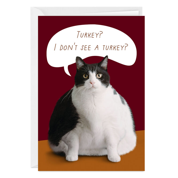 Fat Cat Funny Custom Thanksgiving Card