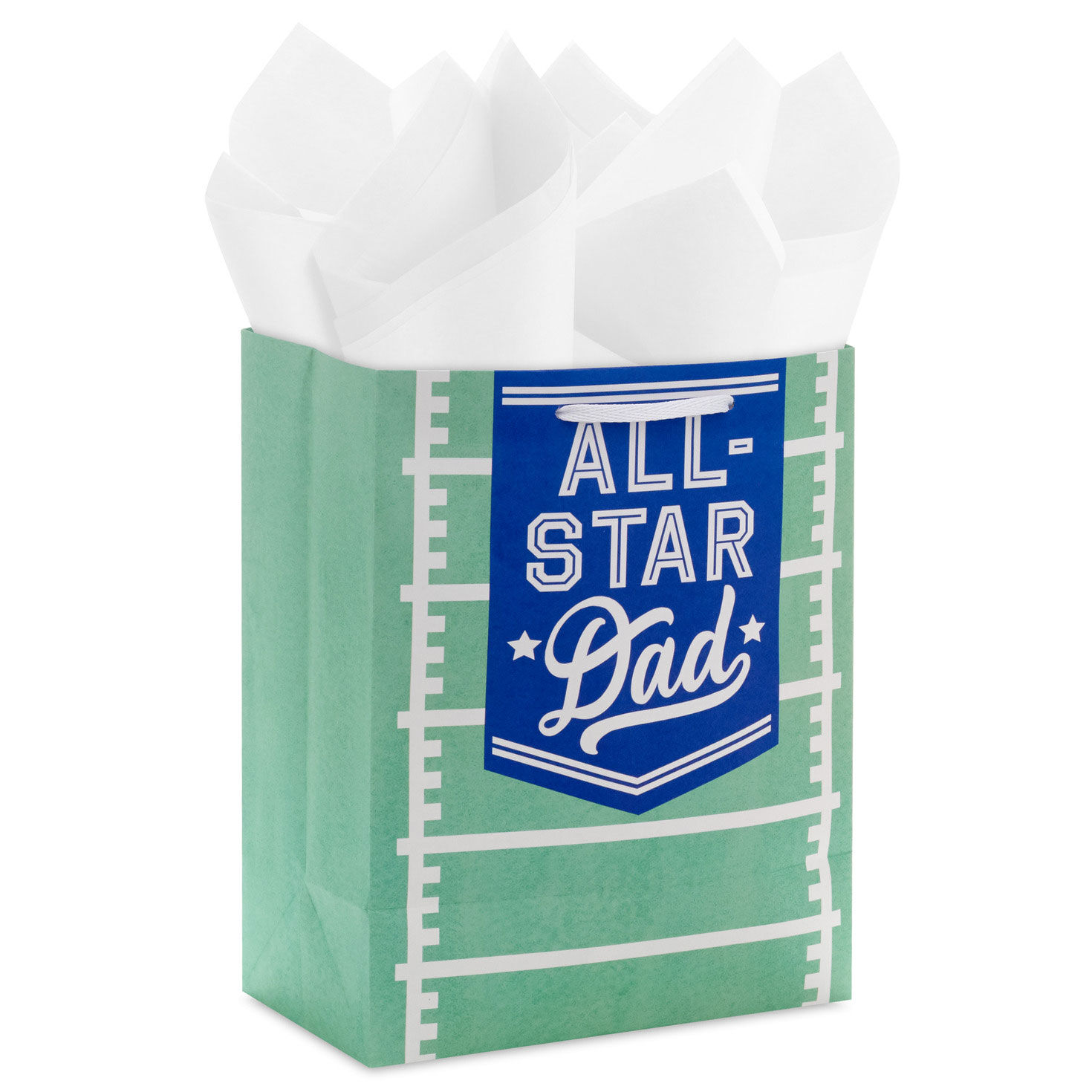 Football Father's Day Medium Gift Bag With Tissue back image number 6