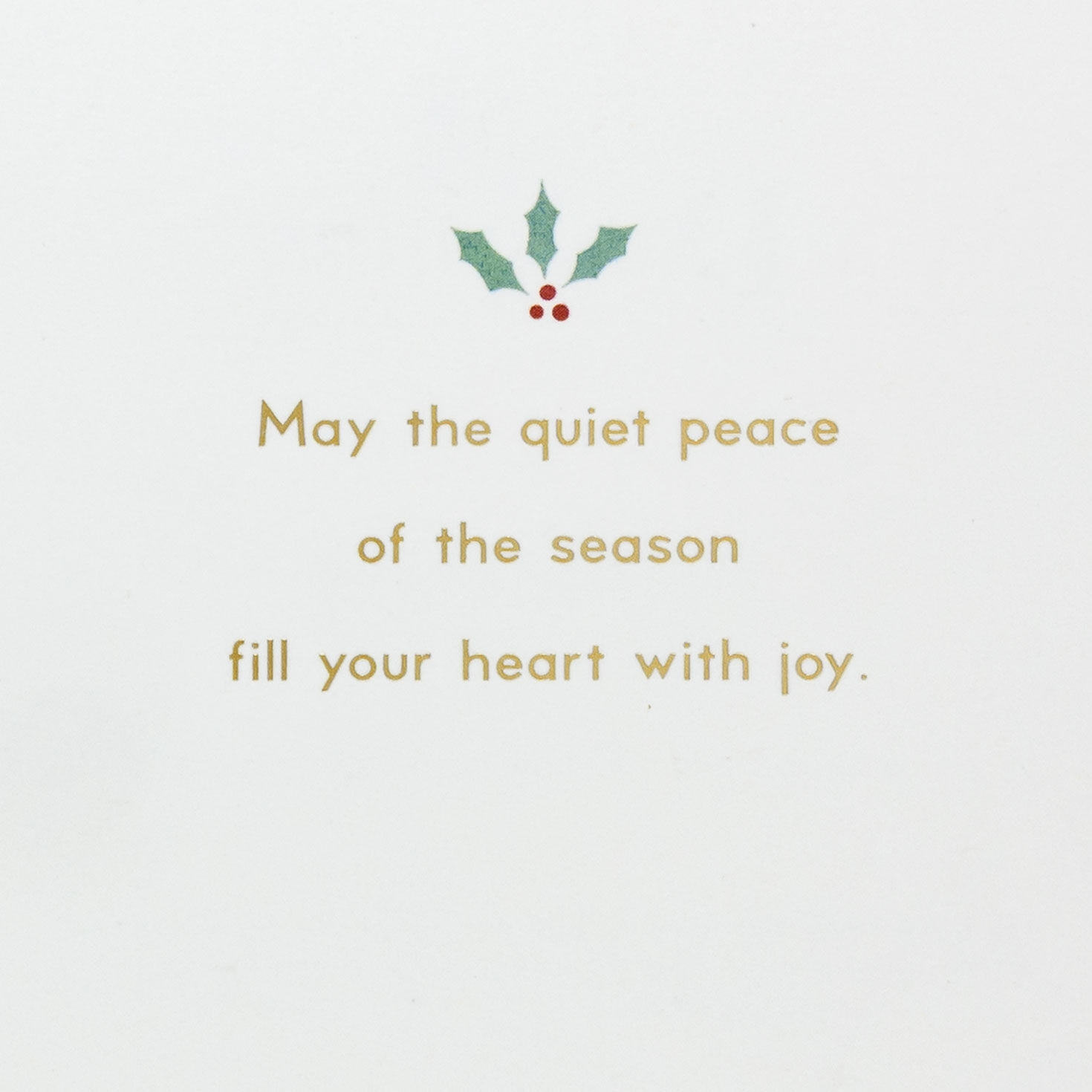 Dove Peace Earth Religious Quilled Christmas Card Sentiment image number 2
