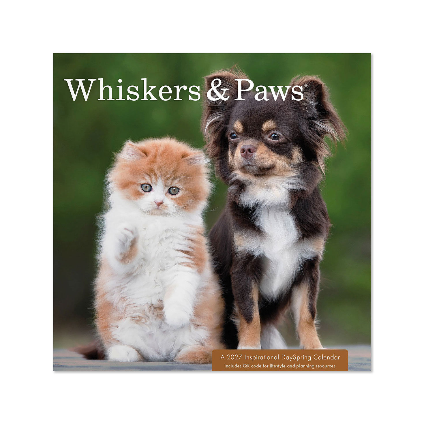 Whiskers and Paws 2027 12-Month Mini Wall Calendar, 7x7