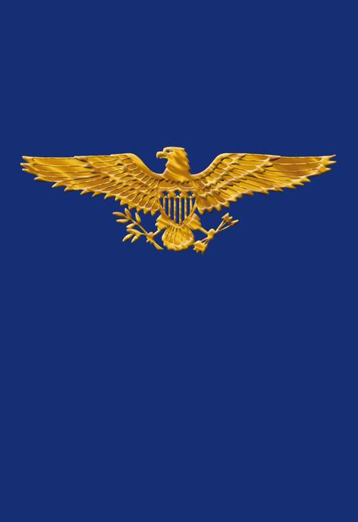 Golden Eagle Veterans Day Card, , large image number 1