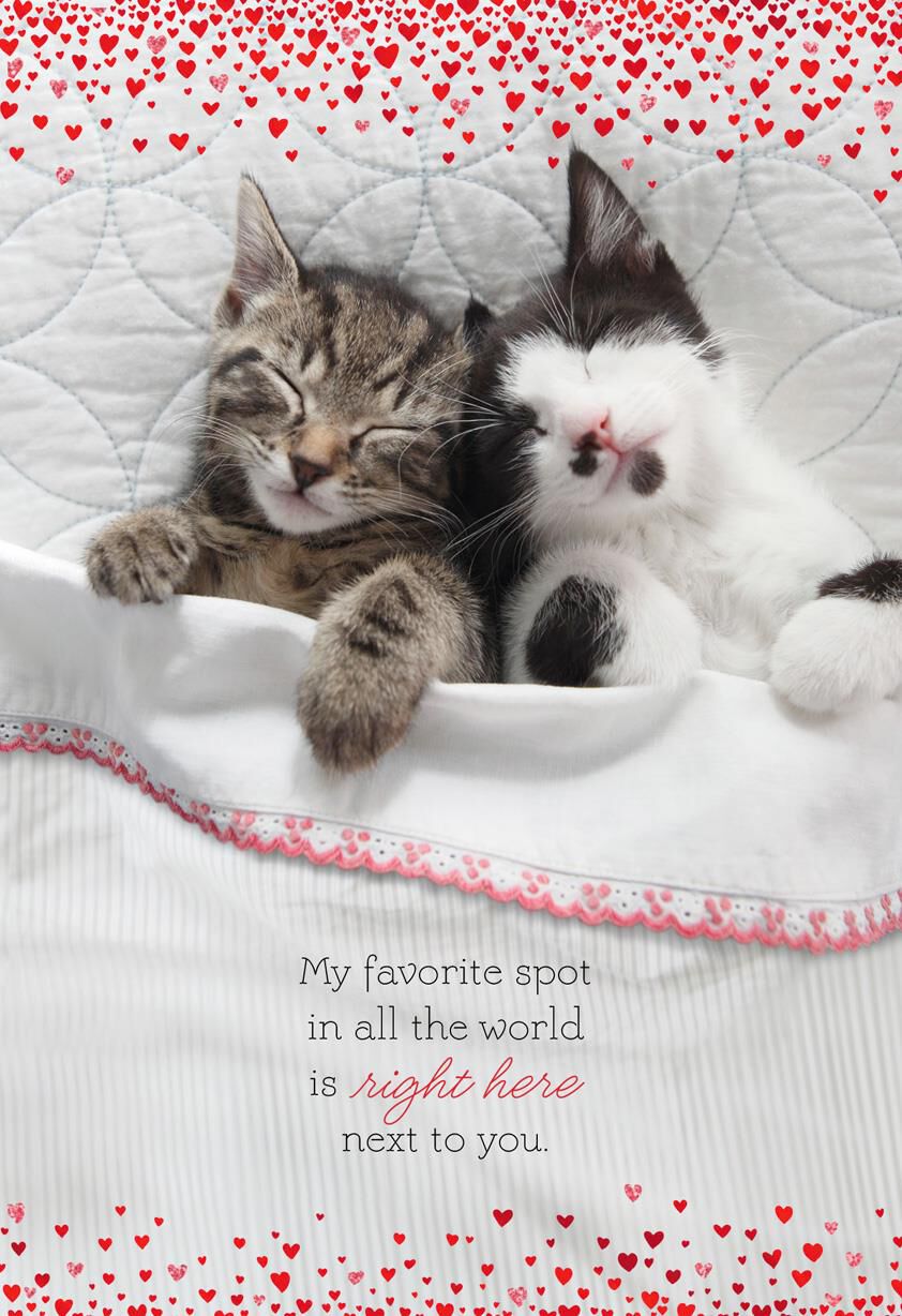 You Beside Me Valentine's Day Card