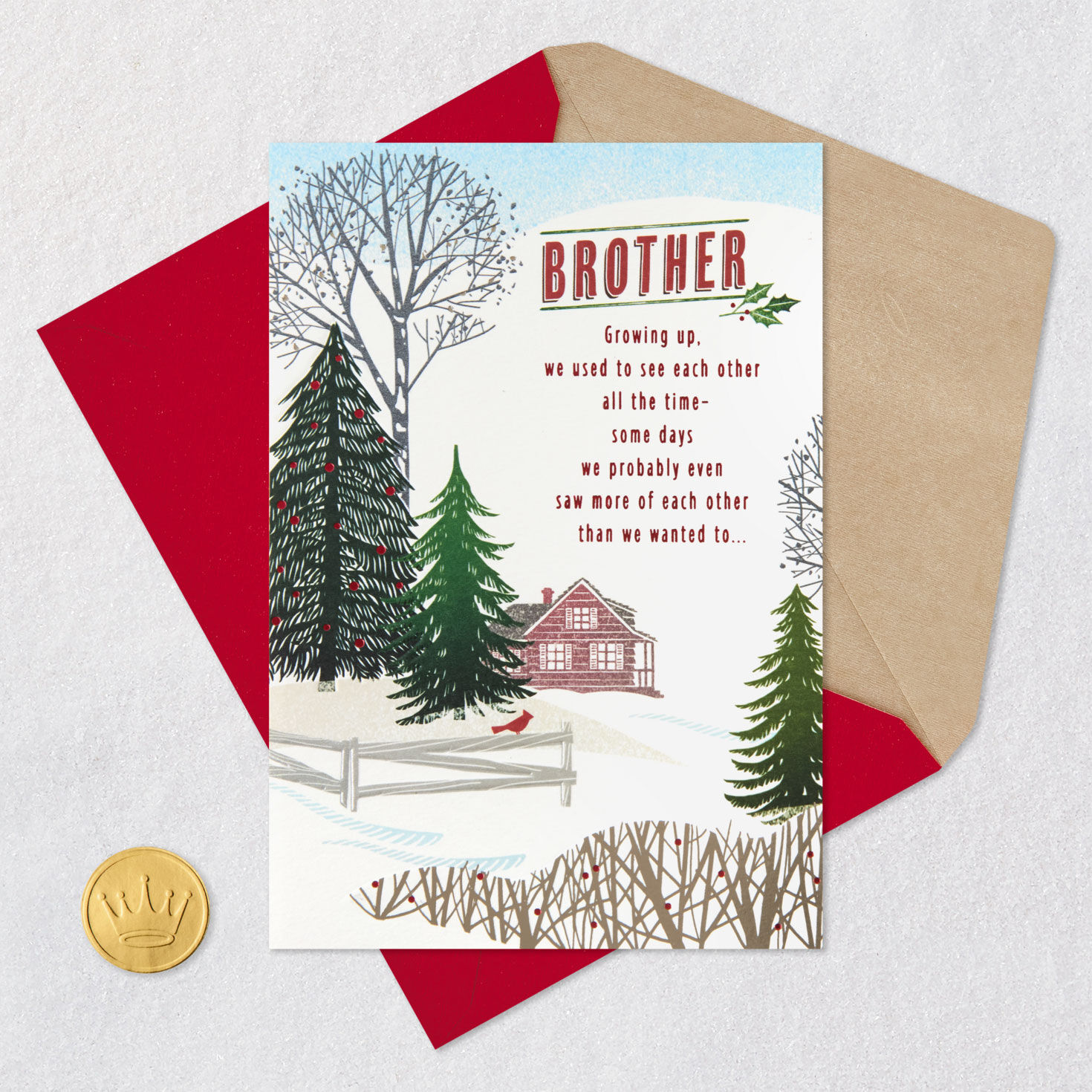 Our Time Together Is a Gift Christmas Card for Brother for only USD 4.59 | Hallmark