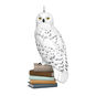 Mini Hedwig on Books Keepsake Ornament front image number 1