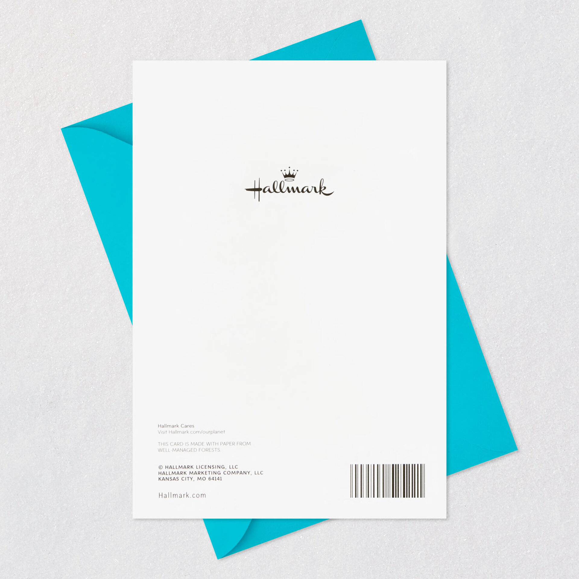 Expensive Present Funny Birthday Card for Sister Greeting Cards