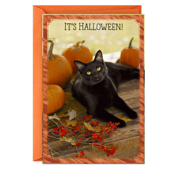 Nine Lives' Worth of Happy Things Halloween Card, , large image number 1