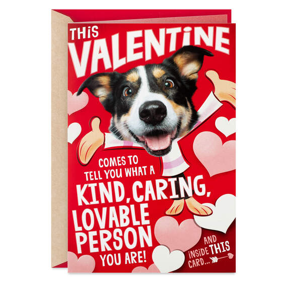 Hugging Dog Musical Pop-Up Valentine's Day Card With Mini Cards