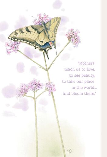 sympathy cards hallmark