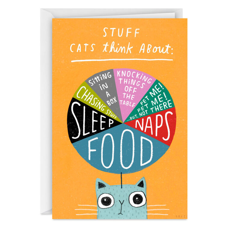Stuff Cats Think About Pie Chart Funny Blank Card
