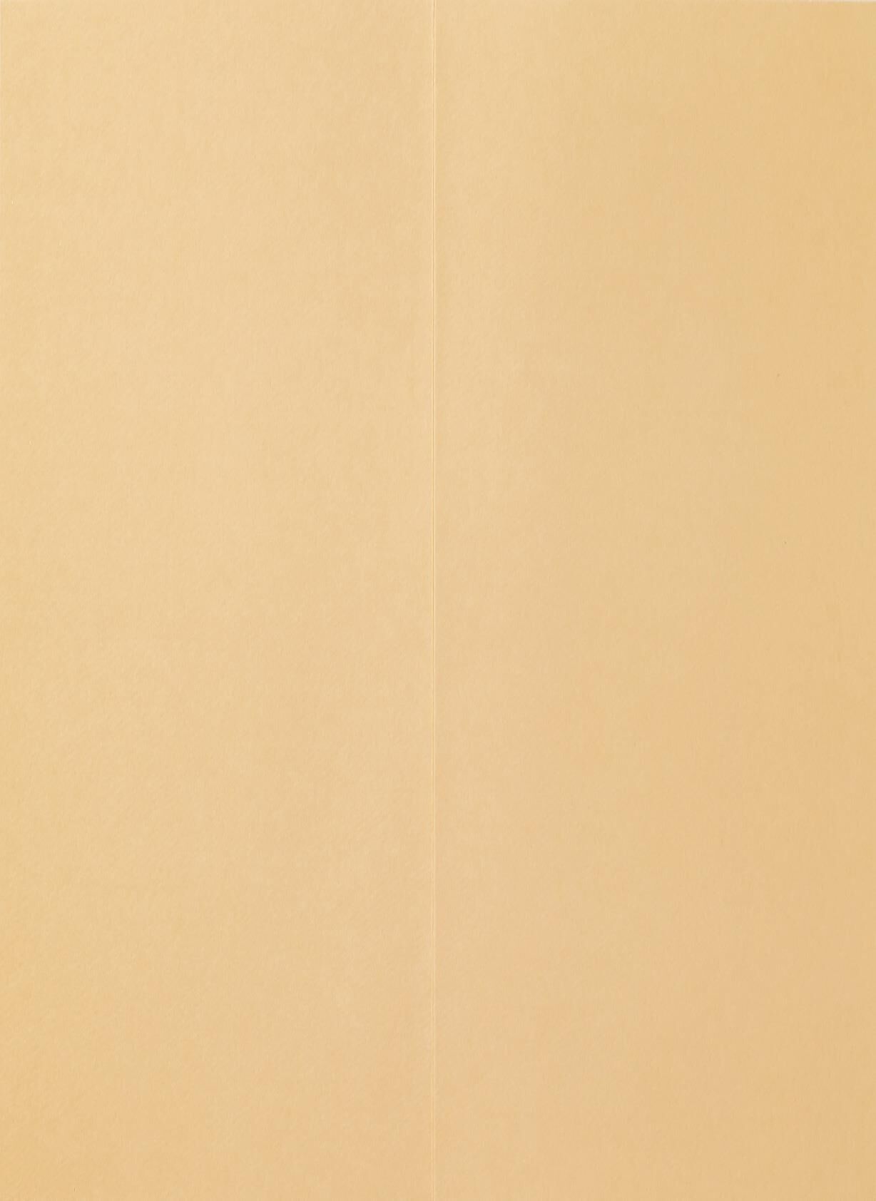 Buen Día Blank Card